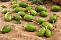 Ambazhanga Achar | Kerala Hog Plum Pickle 200 g