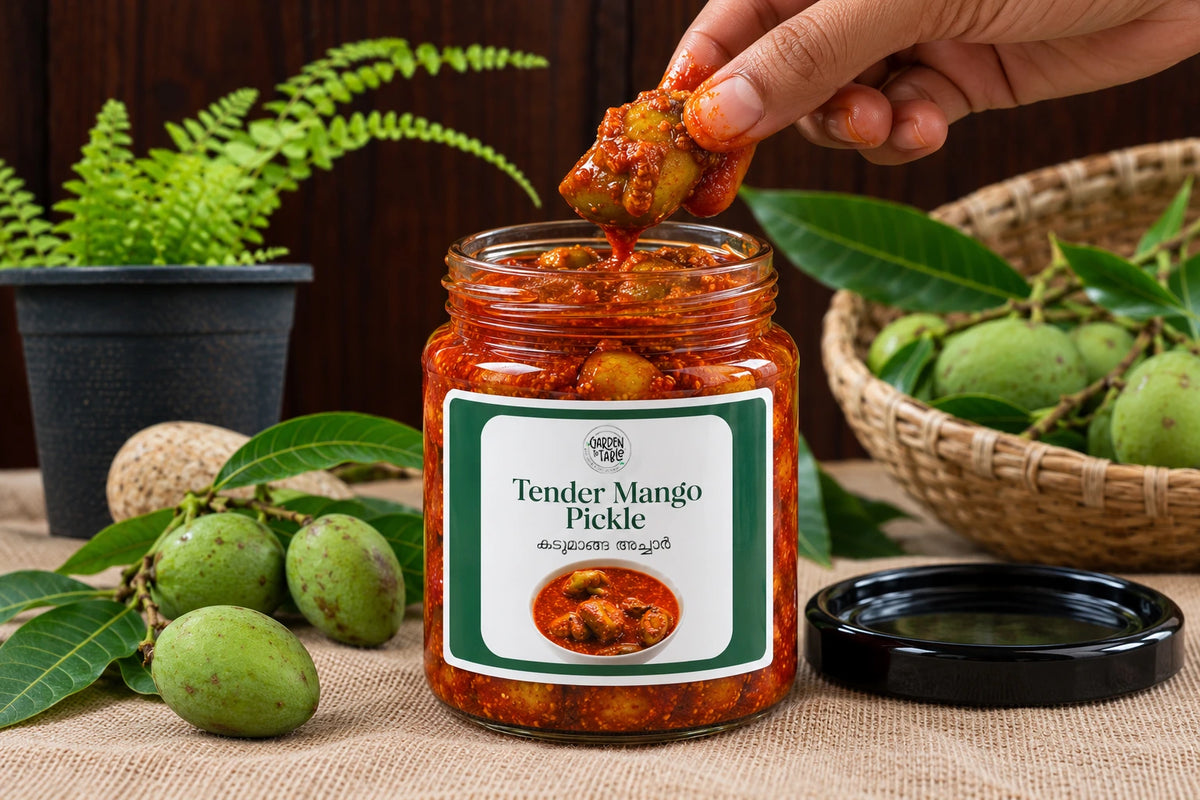 Kadu Manga Pickle Tender Mango Pickle Authentic Kerala Recipe 200 g
